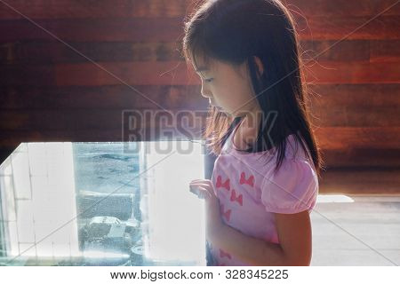 A Young Attractive Asian Girl Exploring An Artifact In A Glass Case Of A Museum With Back Lit Lighti