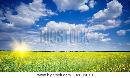 Vidunderlige Rapefield og Cloudscape med solstråler.
