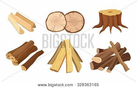 Set Of Wood Logs For Forestry And Lumber Industry Vector Illustrated Set
