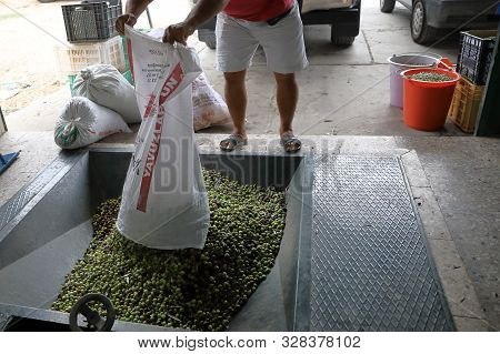 Cyprus, Kyrenia - October, 2019: The Process Of Producing Olive Oil In A Modern Oil Mill In Northern