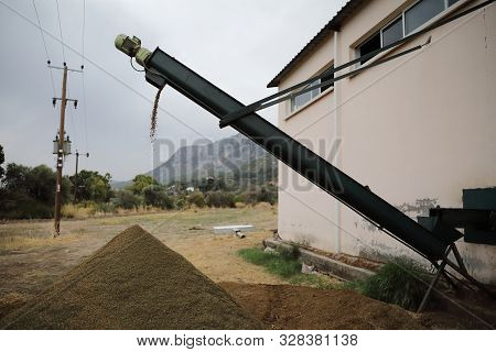 The Process Of Producing Olive Oil In A Modern Oil Mill In Northern Cyprus. Waste Production The Dry