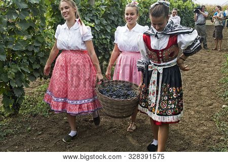 Aradac, Serbia, September 07, 2019. Traditional Celebration Of The Beginning Of Grape Harvesting Tha