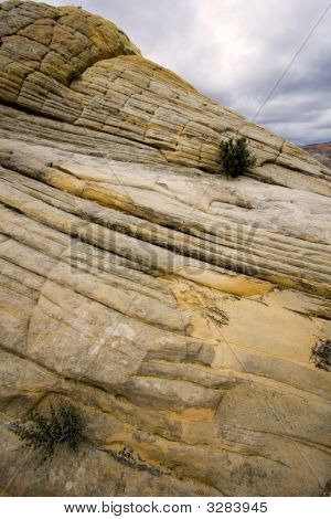 Snow Canyon - Utah