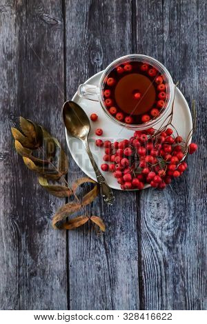 Hot Healing Tea, Mountain Ash Tea. Applied With A Lack Of Vitamins, Anemia, Metabolic Disorders. Red