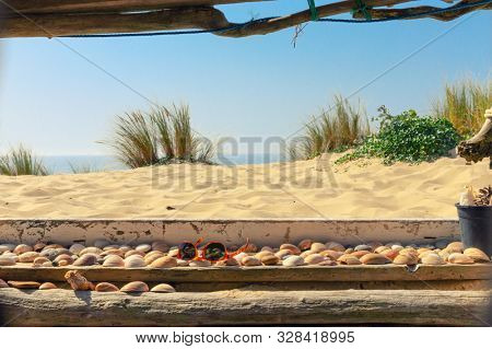Wild atlantic beach landscape view from a cozy wooden hut, Lacanau, France