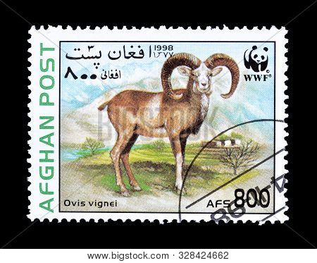 Cancelled Postage Stamp Printed By Afghanistan, That Shows Urial, Circa 1998.