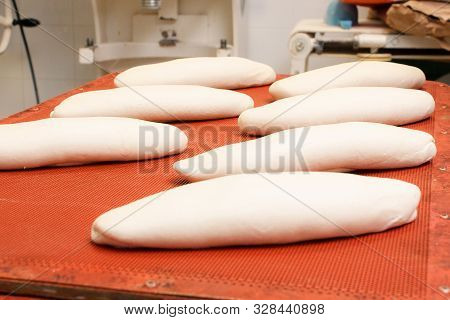 Bread Dough Before It Starts To Ferment