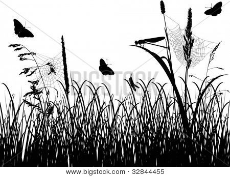 illustrazione con insetti in erba isolata on white background