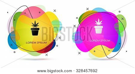 Color Medical Marijuana Or Cannabis Plant In Pot Icon Isolated On White Background. Marijuana Growin