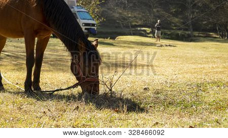 Encuentro Park, Chiapas, Mexico - February 28h, 2018: A Horse Eating Grass With Van And Man In The B