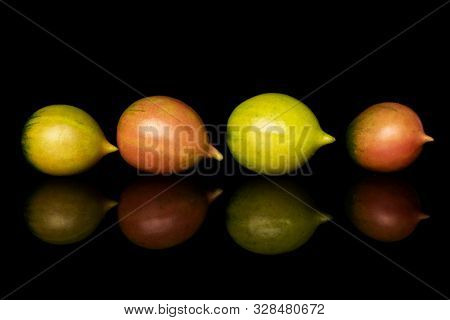 Group Of Four Whole Fresh Tomato De Barao Isolated On Black Glass