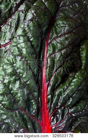 Balkan Cuisine. Macro.  Blitva ( Chard Leaves ) - Popular Leafy Vegetables.