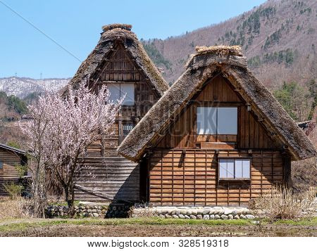 Gassho-zukuri House , Historic Village Of Shirakawa-go In Spring , Japan