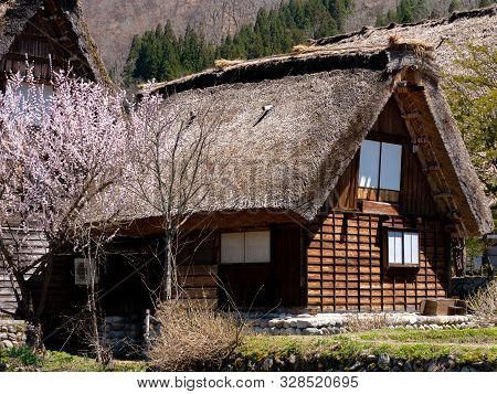 Historic Village Of Shirakawa-go In Spring , Japan