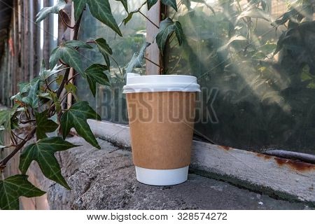 Coffee Paper Cup. A Cup Of Coffee Is In The Plants. Glass In Green. Mock Up Paper Cup. Coffee To Go.