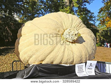 Ludwigsburg, Germany-october 16, 2016: The World's Largest Pumpkin Festival At The Ludwigsburg Palac