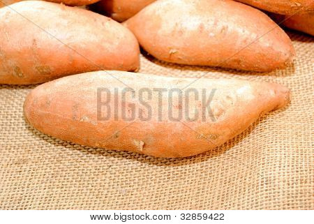 Patata dolce su tela