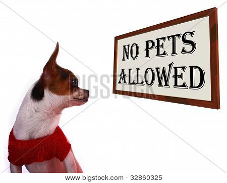 Animaux non admis signe montrant une Zone interdite sans autorisation