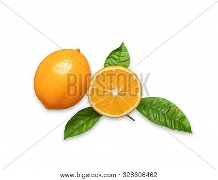 Orange Sliced And Whole Citrus Fruit Isolated On White Background. Juicy Ripe Slices Of Orange Lemon