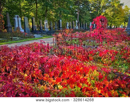 Zentralfriedhof, Vienna, Austria - October 15, 2019: The Zentralfriedhof Is The Largest Cemetery Of 