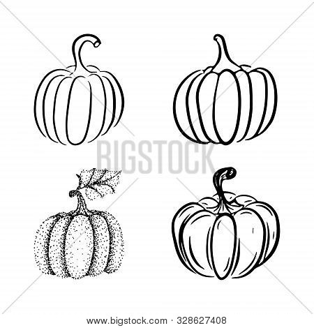 Collection Of Hand-drawn Pumpkins. Four Various Types