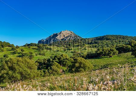 Landscape Near Ubrique, Cadiz. Spain, Andalusia In The Park Of Alcornocales