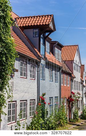 Red Flowers In Front Of Old Houses In Flensburg, Germany