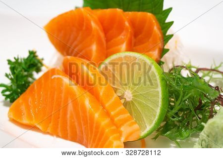 Premium Salmon Sashimi Slice On A White Plate,japanese Food