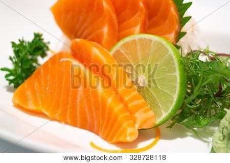 Premium Salmon Sashimi Slice On A White Plate,japanese Food