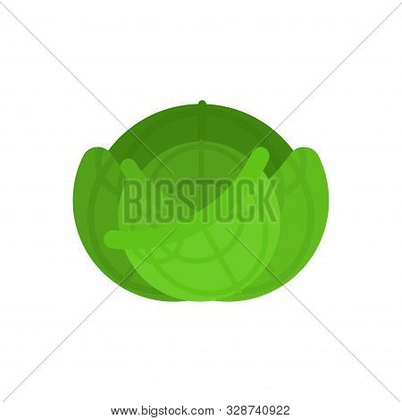 Cabbage Isolated. Green Vegetable. Food Vector Illustration