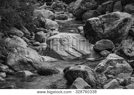 Alpine Stream Flows Tumultuously Among The Rocks And Brambles On The Pieve Tesino Plateau In The Lag