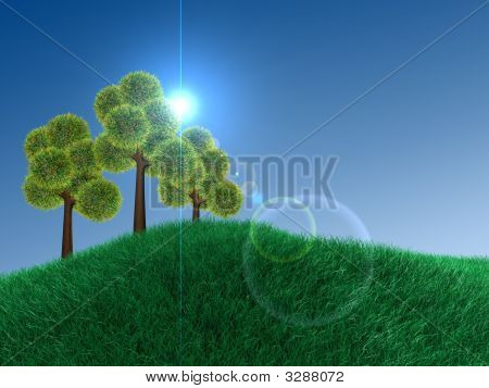Verde-Terra