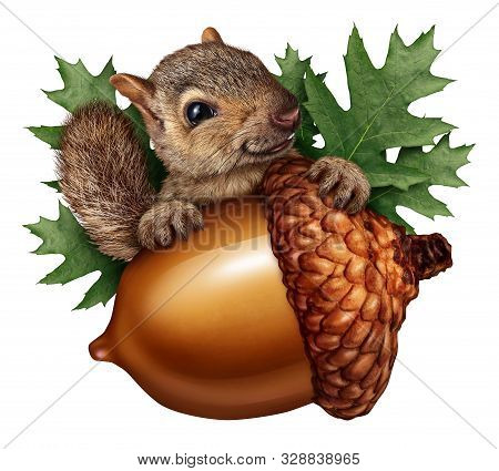 Cute Squirrel Acorn Isolated Holding A Giant Tree Nut As A Funny Autumn Symbol With Aok Leaves And F