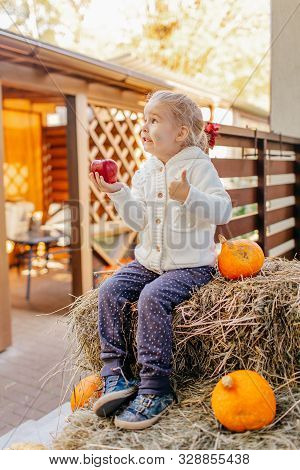 Adorable Laughing Caucasian Baby Toddler In White Knittes Jacket Sitting On The Haystack With Pumpki