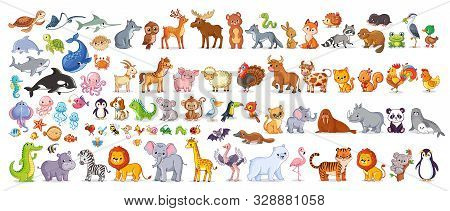 Big Vector Set With Animals In Cartoon Style. Vector Collection