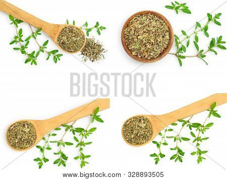 Set Or Collection Dried Thyme Leaves With Fresh Thyme Isolated On White Background