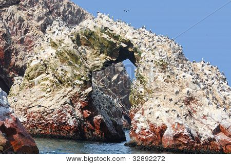 Le isole Ballestas