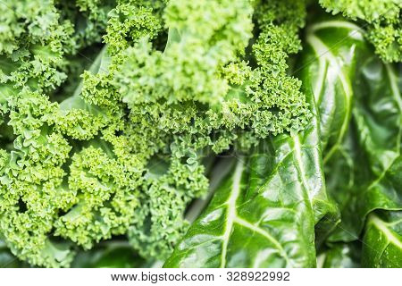 Green Vegetables Food Collage. Silver Beet, Kale, Celery And Chard.