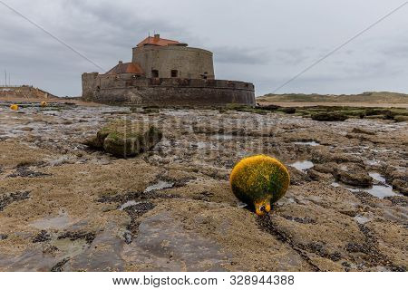 Cote D'opale - Wimereux - Pointe De La Creche - France