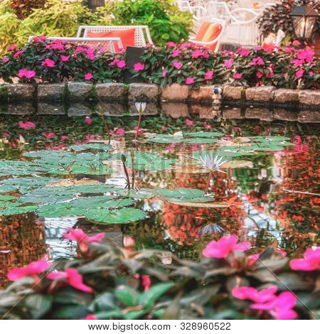 Luttelgeest, The Netherlands, November 14, 2018: Pond Surrounded By Impatiens In The Covered Park Th