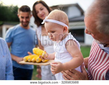 Portrait Of Multigeneration Family Outdoors On Garden Barbecue, Grilling.