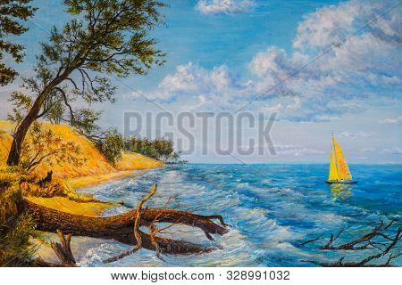 Boat With A Sail By The Sea And A Tree Felled By A Storm.