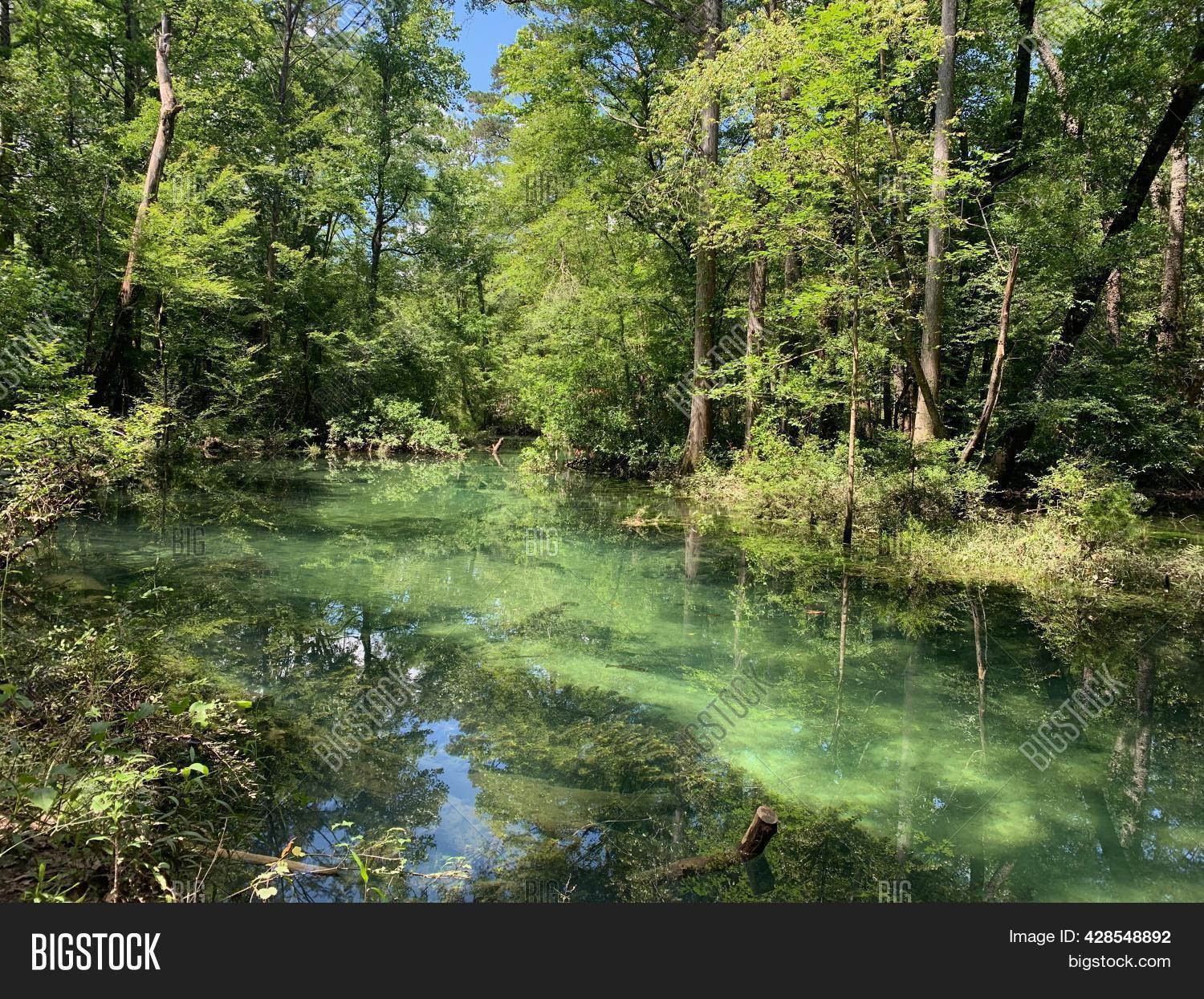 Deleon Springs State Image & Photo (Free Trial) Bigstock