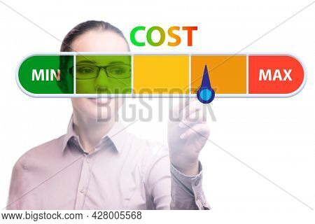 Businesswoman in cost management concept