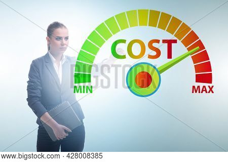 Businesswoman in cost management concept