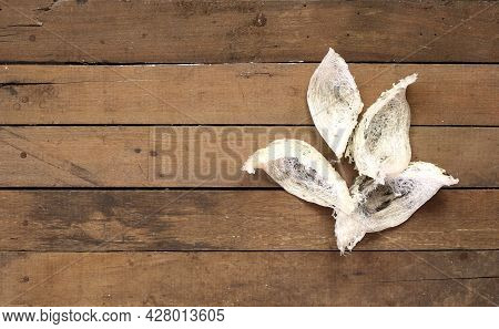 Top View Edible Swiftlet Nest On Brown Wooden , Raw Edible Bird's Nest Materials Before Remove Feath