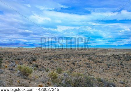 Landscape With Guanacas In Argentina On The Way To Fitzroy. Prairie Landscape On The Road To Fitzroy