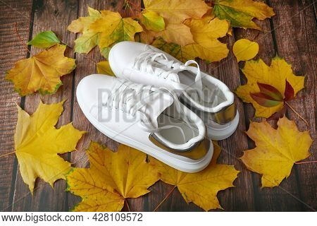 White Sneakers Lawn With Brught Autumn Leaves, Autumn Mood Concept, Flay Lay, Closeup