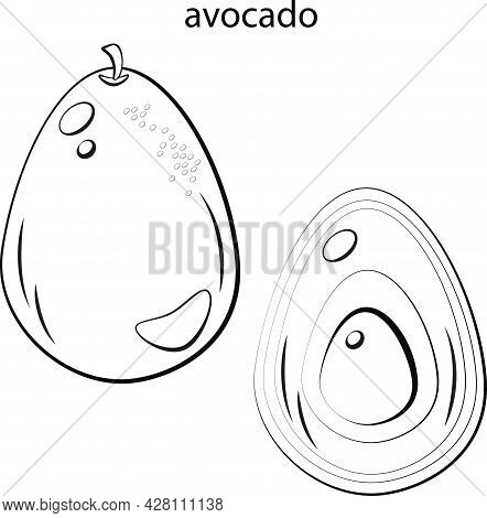 Avocado. Whole Avocado And Avocado In The Cut. Black And White Image, Coloring. Fruits, Healthy Food