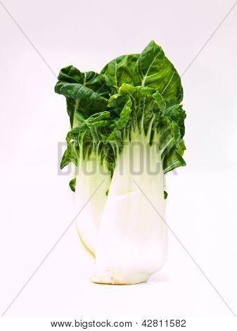 Fresh Baby Bok Choy, Brassica Rapa Chinensis, isolata On White Background